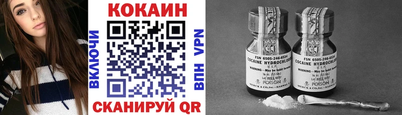 COCAIN Fish Scale  купить  цена  Пятигорск 