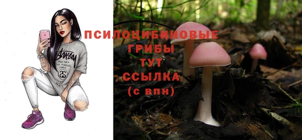 ALPHA PVP Арсеньев