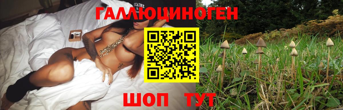 Псилоцибиновые грибы Psilocybe  Вход с VPN  наркошоп  Пятигорск 